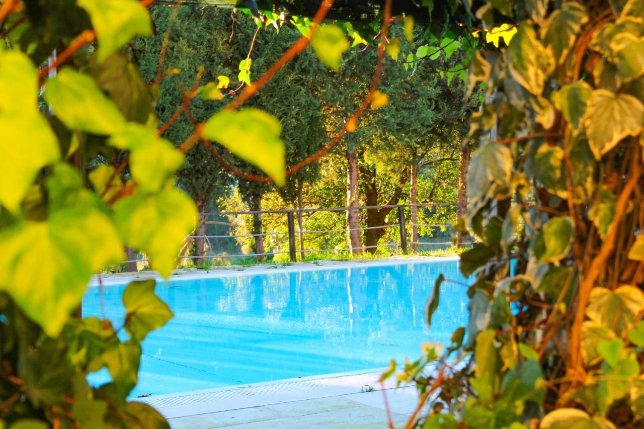 Coimbra Camping & Bungalows Kültér fotó
